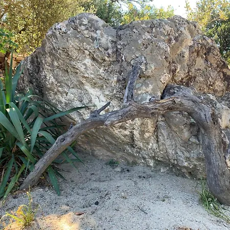 Immersa Nel A Pochi Minuti Dal Mare *